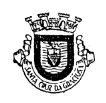 Logo Associação de Andebol Ilha Graciosa