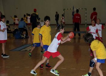 Bambis Handball Fest