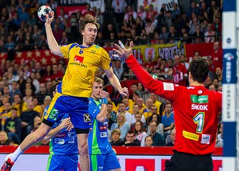 Foto do jogo da Suécia no Europeu 2016